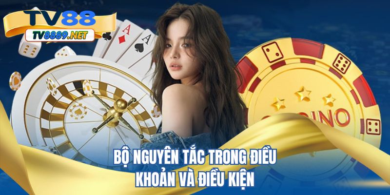 Bộ nguyên tắc trong điều khoản và điều kiện