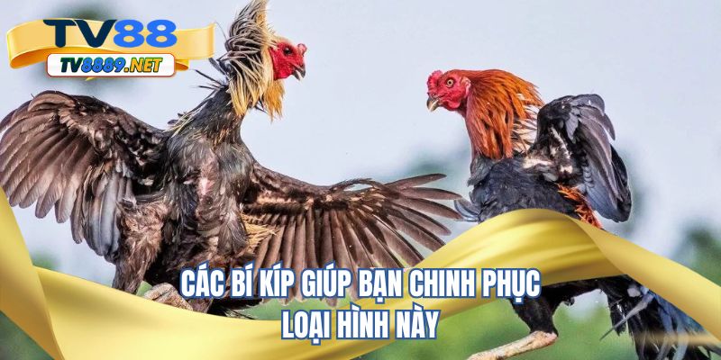 Các bí kíp giúp bạn chinh phục loại hình này