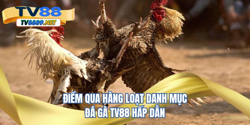Điểm qua hàng loạt danh mục đá gà TV88 hấp dẫn