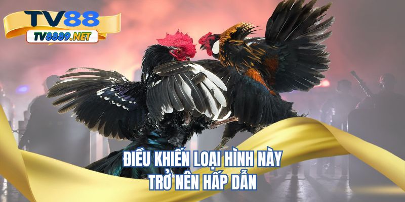 Điều khiến loại hình này trở nên thú vị